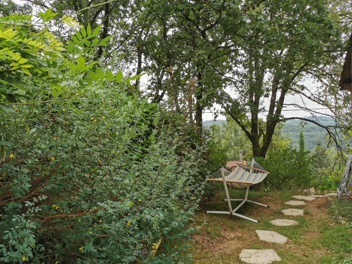 Chambre Chez L'Habitant A La Campagne Sidobre Burlats Exteriér fotografie